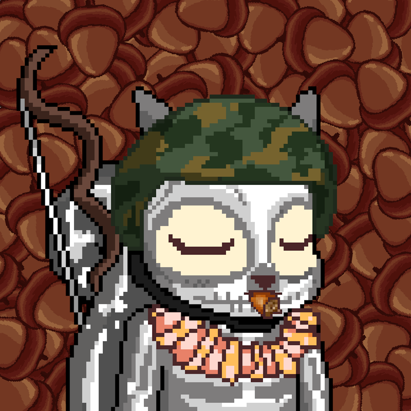 Pixel Squirrels #8572